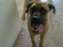 Chance