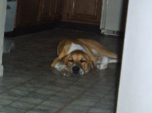 Charlie