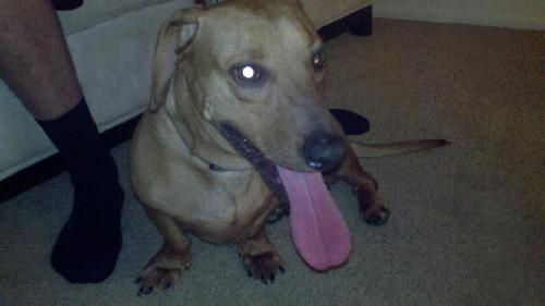 Rocco