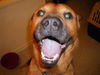 Rudy