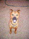 Rudy