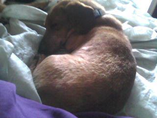 Charlie