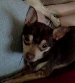 Reese