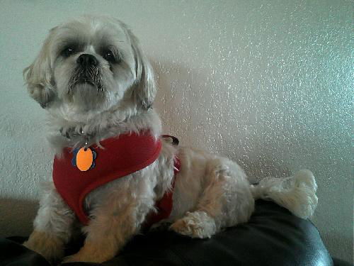 Roscoe