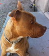 Rusty