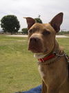Rusty