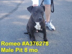 Romeo