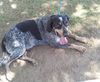 Jackson