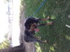 Jackson