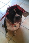 Snickers