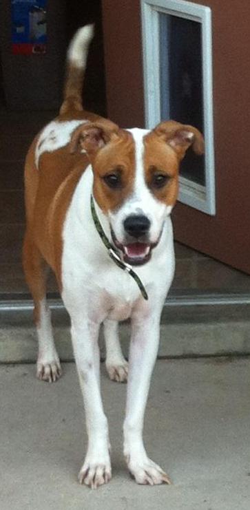 Roxie