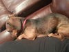 Slinky