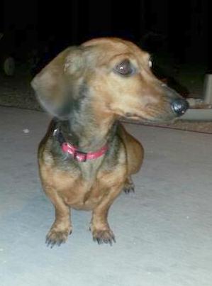 Slinky