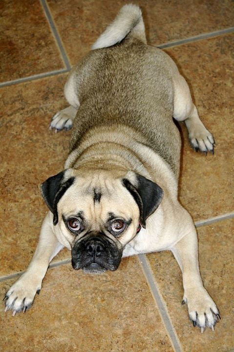 Reilly aka Cooper