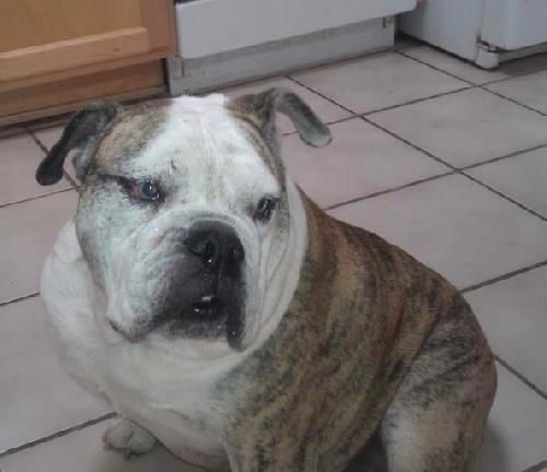 Roscoe