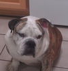 Roscoe