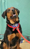 Roxie