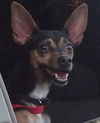 Remi