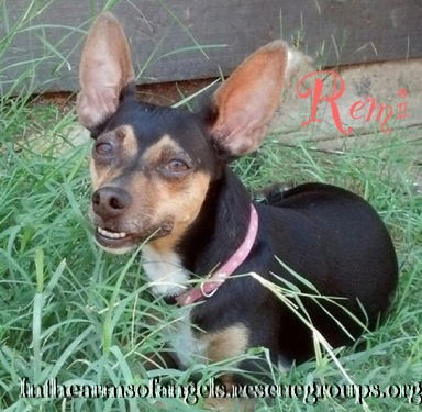 Remi