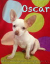 Oscar