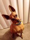 Rusty