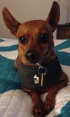 Rusty