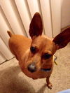 Rusty