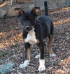 Jax