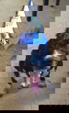 Chance