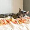 Snuggler - Photo 3