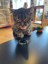 Juniper - Photo 3