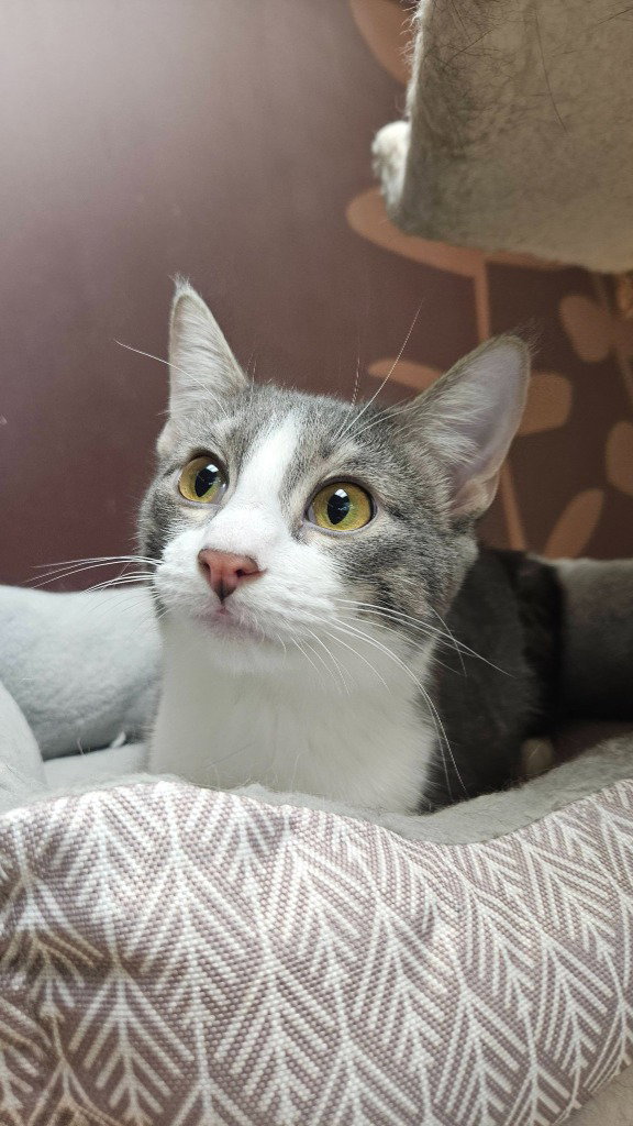 Natalie (Bonded with Nick)