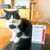 Boris - Photo 3