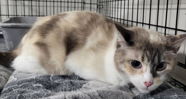 Tina