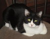 Cain - Photo 1