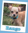 Rango Marion