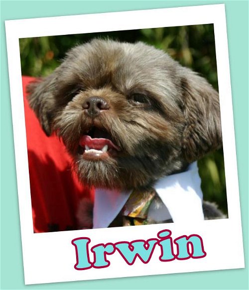 Irwin Ranger
