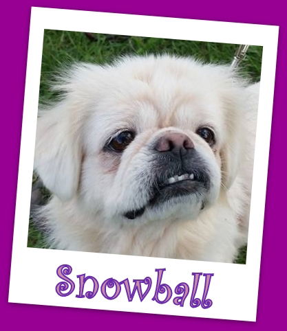 Snowball Franklin