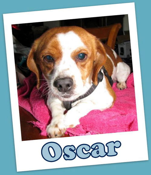 Oscar