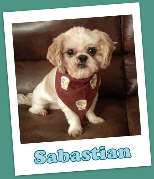 Sabastian