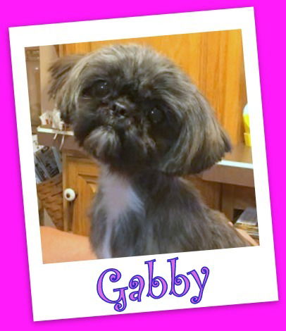 Gabby