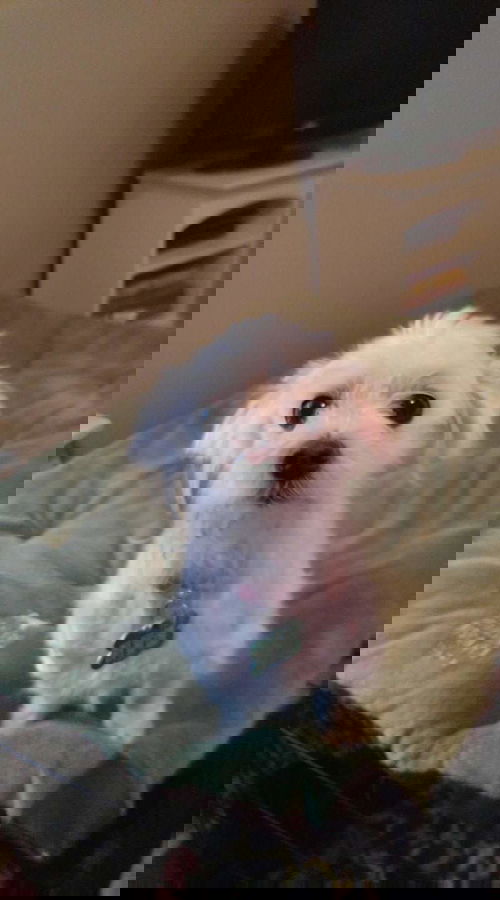 Maxx