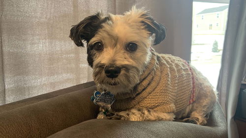 Meeko - OS