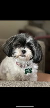 Hazel - Tuscarawas