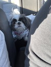 Sofie-OS