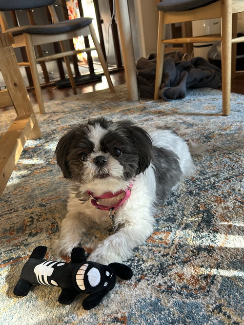 Sofie-OS