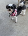 Oakley-ARR