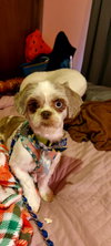 Mabel-ARR