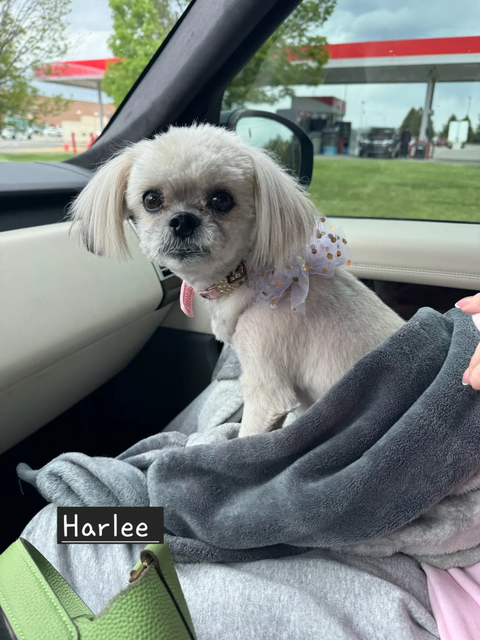 Harlee - Os image 4