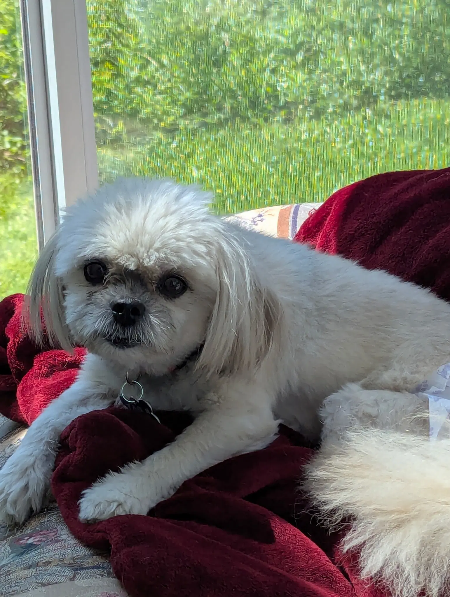 Harlee - Os image 3
